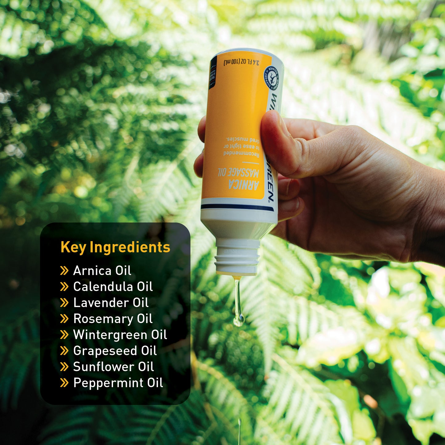Arnica Massage Oil 500ml